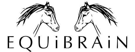EquiBrain Logo